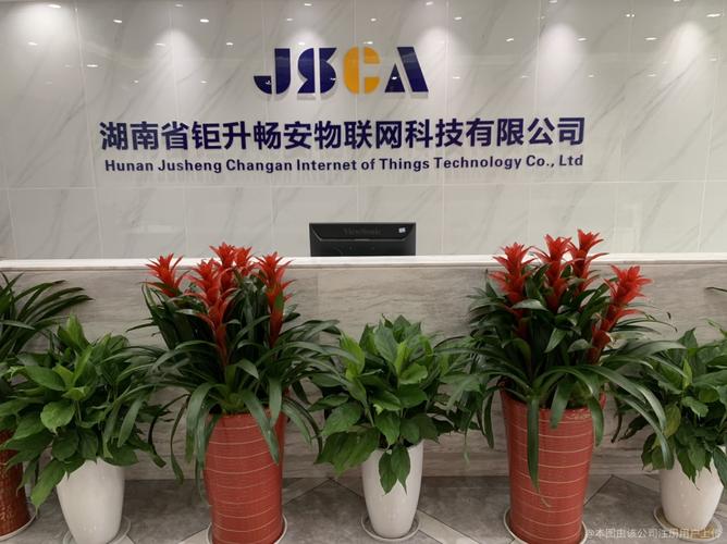 畅安物联网科技公司介绍
