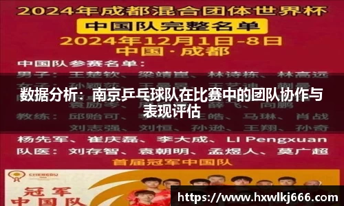 数据分析：南京乒乓球队在比赛中的团队协作与表现评估