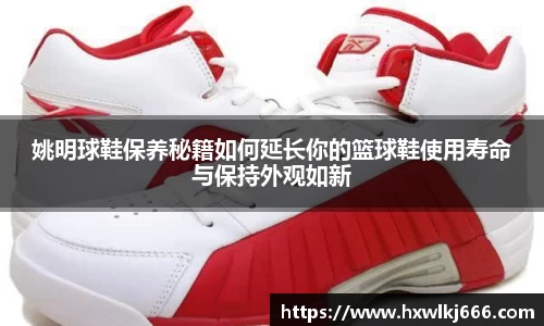 姚明球鞋保养秘籍如何延长你的篮球鞋使用寿命与保持外观如新